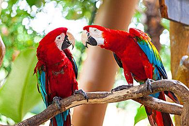 末世模拟《洪泛》上市日期公布 免费试玩版今日推出